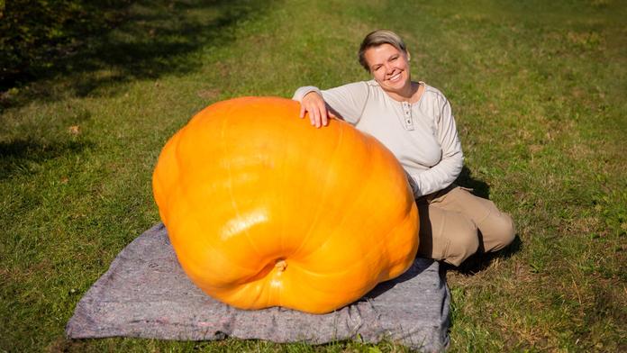 Největší dýně v Česku váží 175 kilogramů. Lidé ji už brzy uvidí v Praze