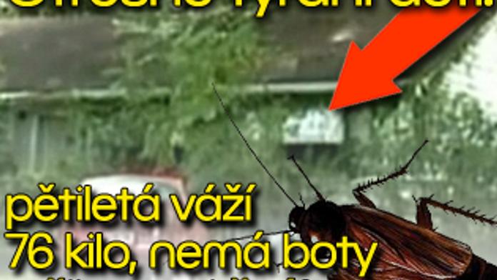 Otřesné týrání dětí: pětiletá váží 76 kilo, nemá boty a žije mezi šváby