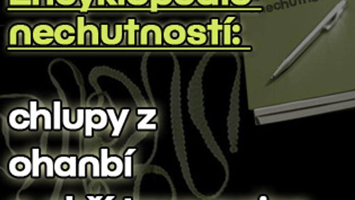 Encyklopedie nechutností: chlupy z ohanbí a obří tasemnice