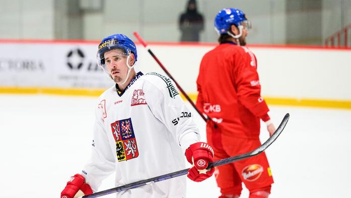 Česká sestava na Dány: elitní první formace, překvapení v přesilovce