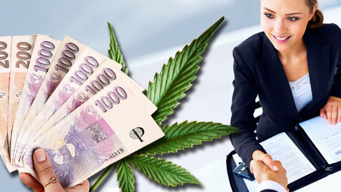 Pozor! Česko čeká od srpna 5 VELKÝCH ZMĚN! Co zdraží a na co se připravit?