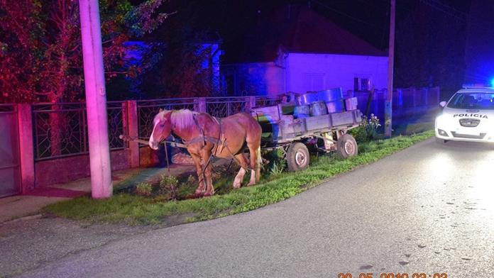 Ožralí kočí museli koně s povozem odstavit do příkopu