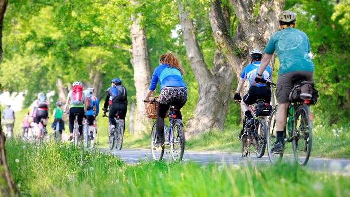 Vlastníci lesů hrozí, že uzavřou cesty pro cyklisty. Mohou za to nová pravidla