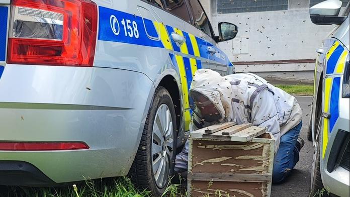 Včelí roj na policejním autě