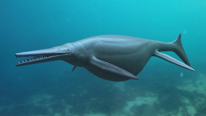 Rekordní úlovek. Paleontologové objevili pravěké podmořské monstrum