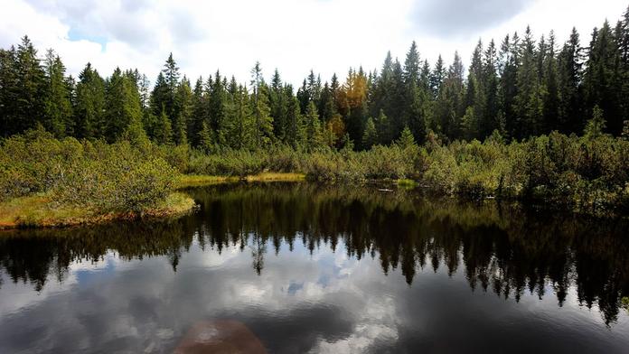 Národní park Šumava