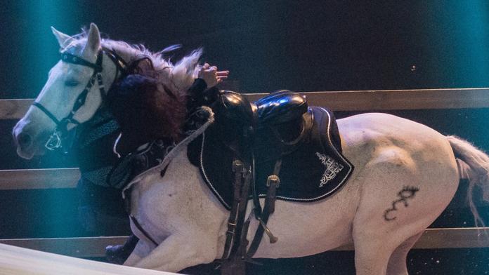 Cossack Vaulting Team přiveze do Prahy jedinečnou akrobaticko-koňskou podívanou