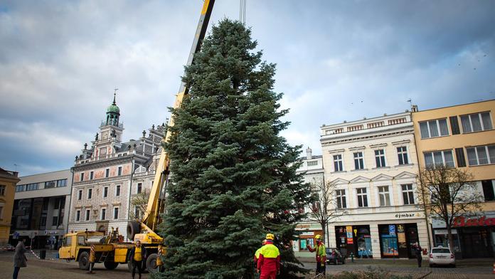 Česko se připravuje na Vánoce. Hlasujte o nejhezčí stromek. ANKETA