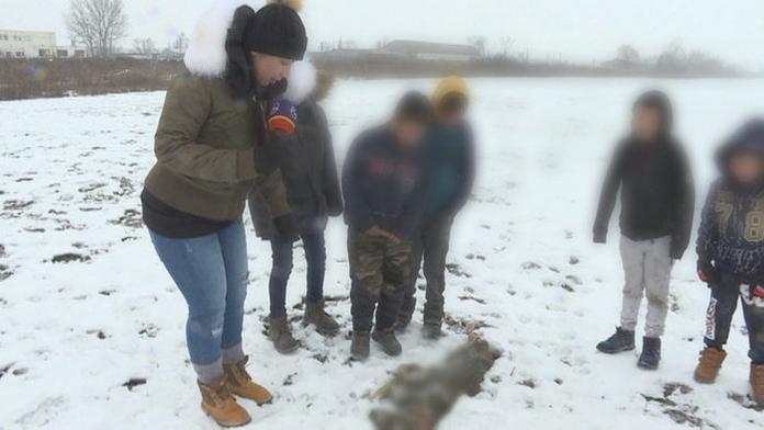 Krutá zábava dětí v Trebišově, utýraná zvířata se válí v okolí