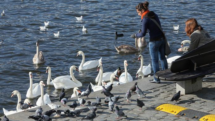 Víkend bude spíše aprílový, říká PŘEDPOVĚĎ POČASÍ