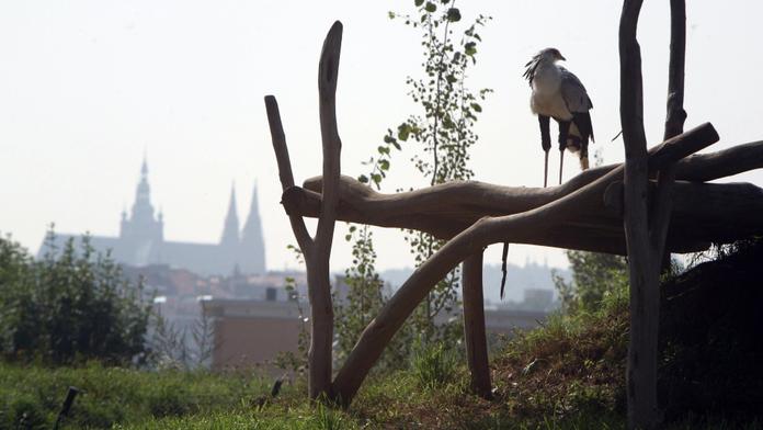 Finanční krize neměla vliv. Pražská zoo má miliontého návštěvníka