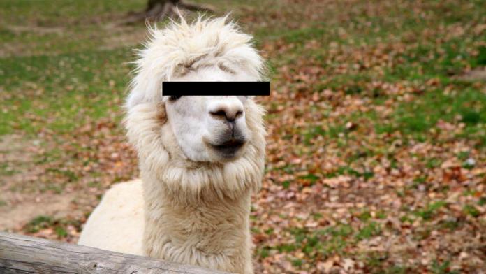 V Německu rostou erotické zoo, kde si můžete půjčit zvíře na sex!