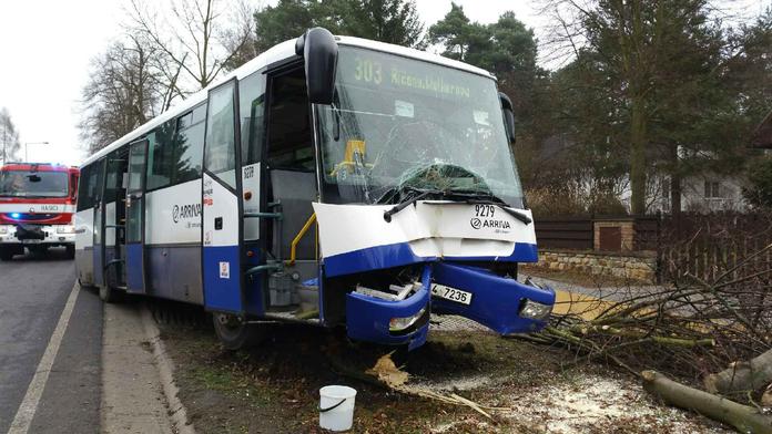 Řidič dostal infarkt, autobus trefil strom! Cestující jsou zranění
