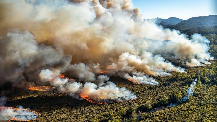 Austrálii sužují vedra: Evakuace, rozsáhlé požáry, mrtvá zvířata!