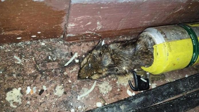 Známou restauraci v Krušných horách náhle zavřeli. Inspekce odhalila otřesné věci