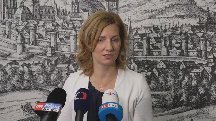 Politologa kauza Vaňková nepřekvapila. Bílý prášek je dnes v politických kruzích běžný, říká