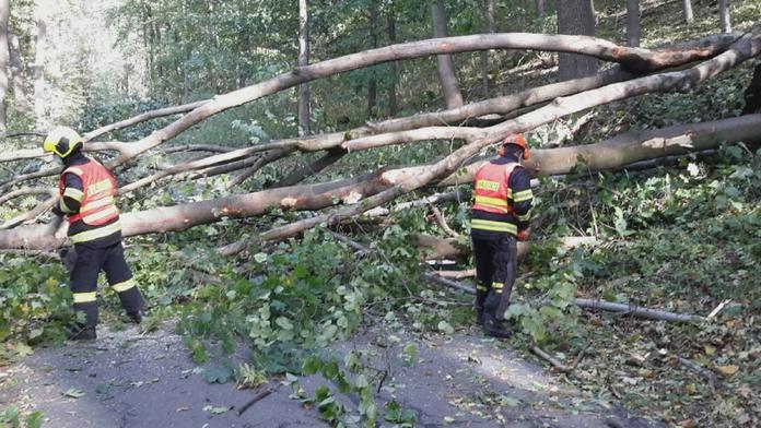 Do Česka se řítí velmi silný vítr! Hrozí poškození vedení a popadané stromy