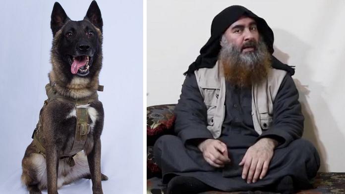 Trump vzdal hold psímu hrdinovi. Zranil se při dopadení vůdce ISIS