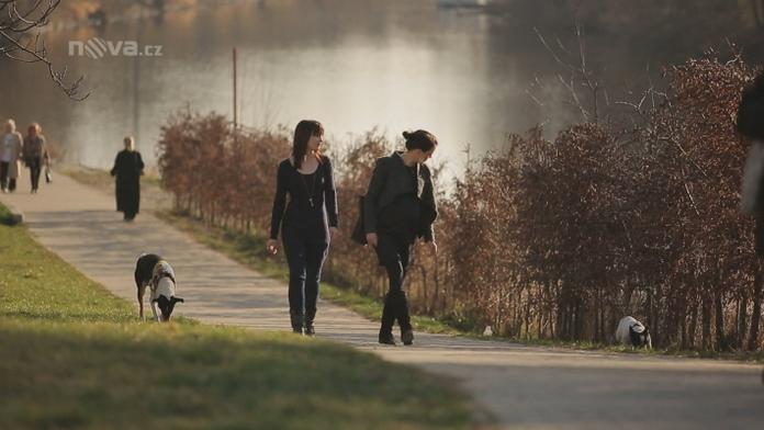 Odoláte? Muž (83) nabízí 9 milionů ženě, která ho ZABIJE SEXEM!