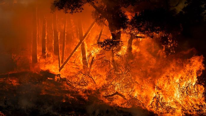 V Kalifornii evakuují další města. Obří požáry se šíří a polykají desítky domů
