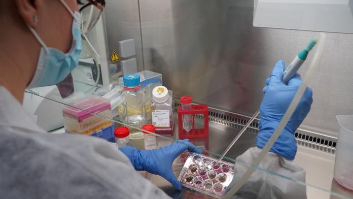 Exotické zvíře je novou nadějí pro lidstvo. Může vyřešit problém s antibiotiky