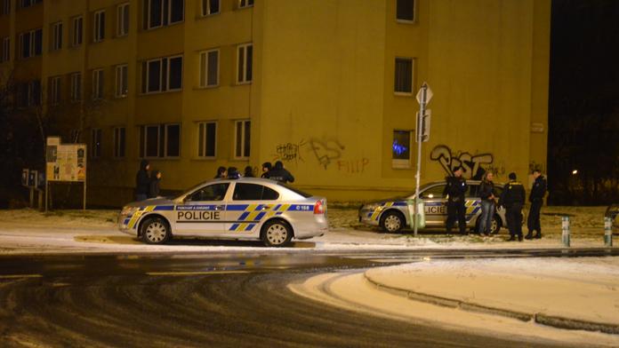 Na akci Olašských Romů museli zasahovat těžkooděnci! Důvodem byla hromadná rvačka!