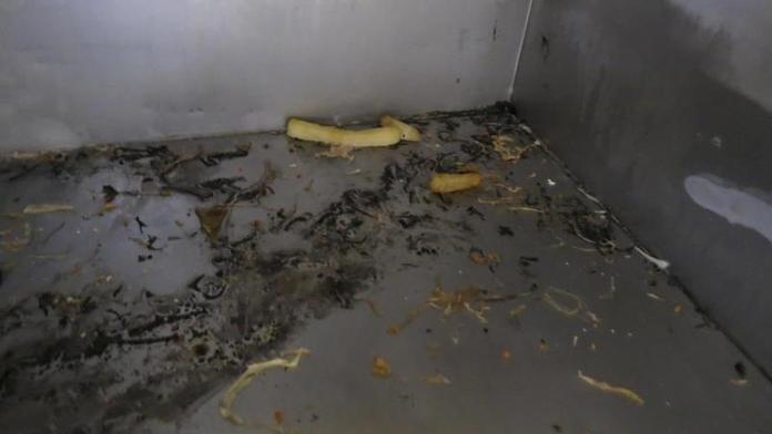 Inspekce uzavřela řadu podniků. V těchto podmínkách připravují jídlo. PŘEHLED