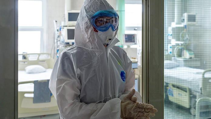 Z tygra už je divoká kočka. Virus oslabil a sám zmizí, tvrdí profesor