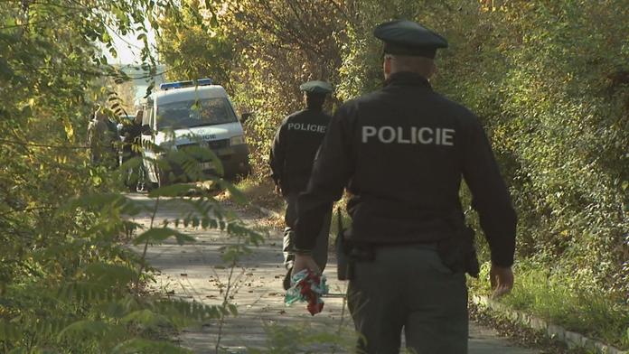 Tragédie na honu: Myslivce (73) postřelili, zraněním podlehl