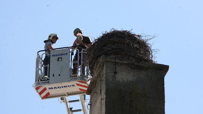 Rodiče uhynuli, na pomoc malým čápatům přispěchali hasiči. FOTO