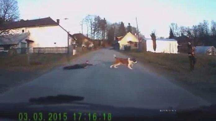Češi zase dobyli internet. Toto video je HITEM !