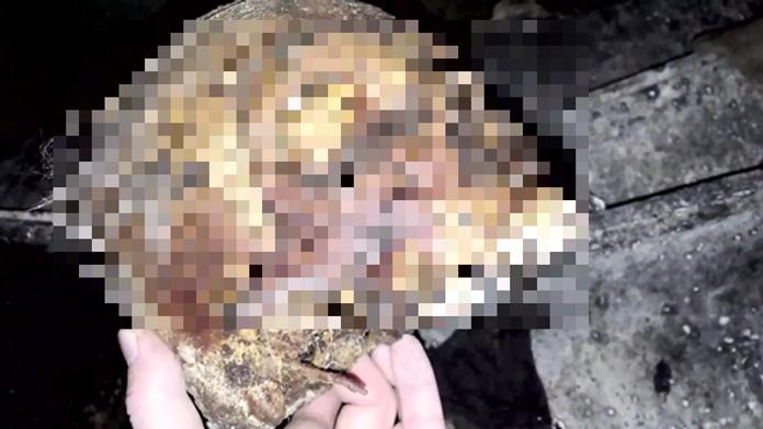 Mladík vlezl do hrobu a natočil si video s mrtvolou. Už ho má policie