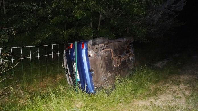 Kvůli dvěma psům se na dálnici zranil motorkář a převrátilo auto