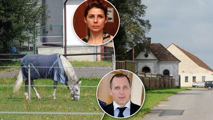 Nejstřeženější koně Česka patří Pancové a Kottovi! Péči o ně platí stát! Kolik to stojí?