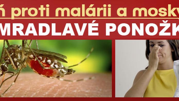 SMRAD PONOŽEK: Nejlepší prostředek pro boj s malárií