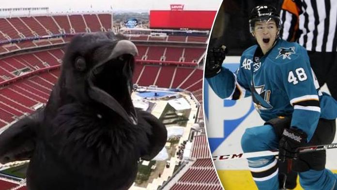 Rumburak vystrašil NHL! Měl by mít Hertl důvod k obavám?