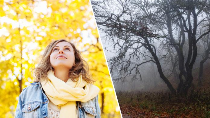 PRVNÍ PŘEDPOVĚĎ: Meteorologové naznačili, jaký bude letos podzim