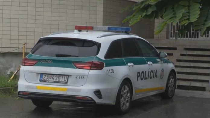 Slovenská policie - Ilustrační