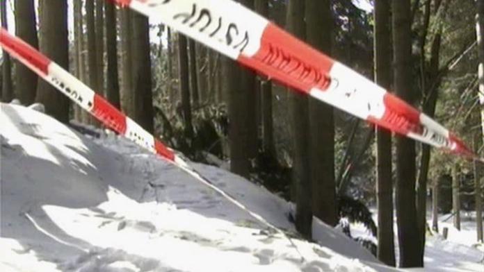 Nová koncepce prodeje dřeva má stát připravit o miliardy