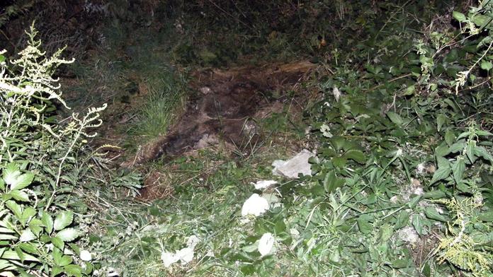 Opilý muž ležel ve křoví několik dní! Žrali ho červi a brouci zaživa