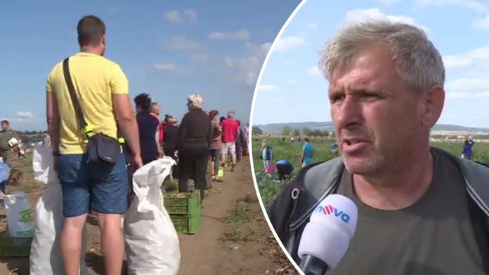 Farmář nabídl zeleninu za pakatel. Lidé ji kradli a vyhrožovali mu zabitím
