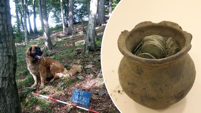 Pes k nezaplacení: Fenka Máša našla na Valašsku stříbrný poklad