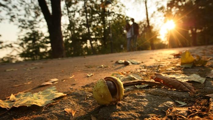 O víkendu se dočkáme babího léta, teploty vystoupají k 20 °C