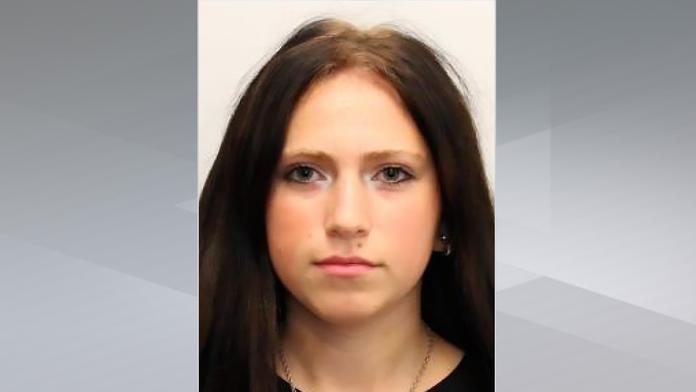 Policejní pátrání
