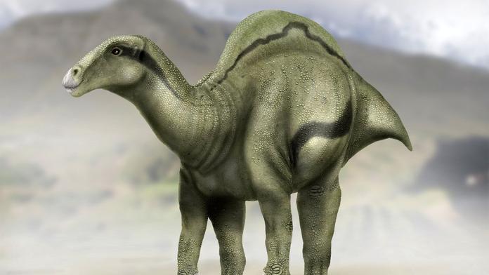 Vědci objevili ve Španělsku nový druh dinosaura. S vějířem