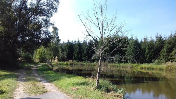 Cesta v krajině