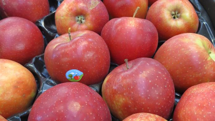 POZOR: Do Česka se dostala jablka z Polska, obsahují pesticidy