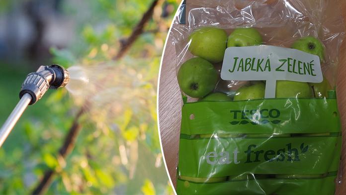 Tesco prodávalo závadná jablka! Nekupovali jste je také?