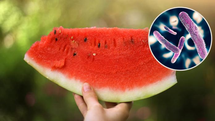 Hygienici varují: Melouny mohou způsobit i úplavici, na tohle pozor!