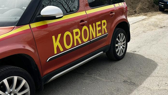 Koroner